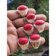 Cincin marjan merah (red coral)