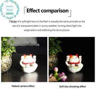 GentleHappy Photo Flash Diffuser Dome Bounce For V1 TT600 V850II V860III TT600/520/685/850/860 Flash