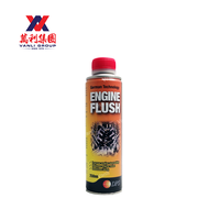 DPS Engine Flush 250ml - WV2702500