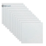 .12 Sheets 10mil  Sheet 12 X 12 Inch Milky Translucent PET Blank Stencil Making Sheet  (10mil)