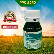 250ML Dow Pixy (Racun serangga) Spinetoram 5.66% + Methoxyfenozide 28.30% Ulat Gulung Daun/Ulat Bata