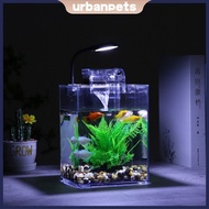 Mini Desktop Fish Tank Aquarium Set Small Acrylic Betta Ecological Tank