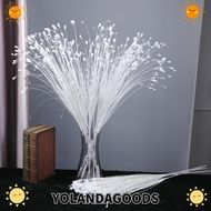 YOLANDAGOODS1 5pcs/Pack Peacock Grass, Multicolor 20 Heads Artificial Grass, Natural 80cm Feather Te