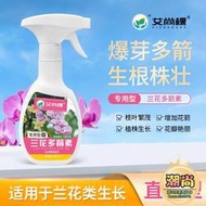 【樂樂屋】蘭花多箭素蝴蝶蘭墨蘭石斛蘭專用型營養液免稀釋直噴發芽分化