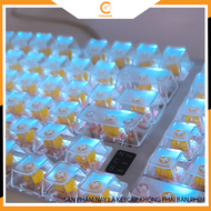 Bộ Keycaps Trong Suốt 132 Phím - Profile OEM - Nhựa PC | Keycaps cho bàn phím cơ