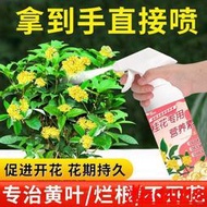 有機肥 花肥 開花肥 肥料 氮磷鉀 磷鉀肥 磷酸二氫鉀 桂花樹肥料專用肥營養液種養開花卉通用型水溶液體肥室內家用盆栽