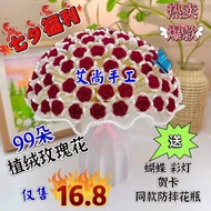 [VIP] Qixi Festival Special Offer: Handmade Kit of 99 Velvet Roses (B Wave Fiber Lantern