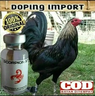 Scorpion XT Doping Ayam Impor - DOPING AYAM Ayam Bertaji Petarung