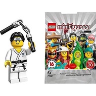 Lego 71027 Minifigures Series 20 Martial Arts Boy MiSP