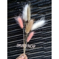 Bunny Tail Flower photo prop