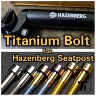 Titanium Bolt for Hazenberg Seatpost | M8x45 Bromton Pikes Birdy Foldie Minivelo | Grade 5 Titanium 