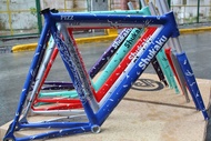 PIZZ Shukaku 2024 Track Frame Set