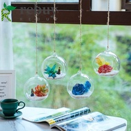REBUY Hanging Glass Vases, Transparent Ball Hanging Tealight Holder, Flower Pot Clear Borosilicate Glass 6/8/10/12/15cm Succulents Plant Ball Container Hydroponics