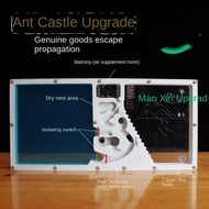 Spot goods reptile box ant nest ant house pet gate New Toy Ant Workshop Castle Pet Nest Ant Home Vil