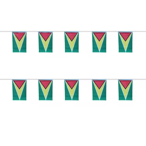 EOODLOVE 20pcs/lot Guyana Flag High Quality Polyester Flag 14x21cm Guyana Small Flag Holiday Party F