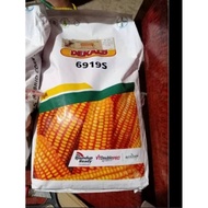 1 Kilo Dekalb Corn seeds for planting