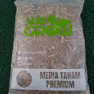 Media Tanam Spesial 1 kg Aglonema Alocasia Caladium