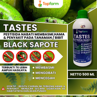 Obat Semprot Buah Black Sapote / Obat Tanaman Black Sapote / Obat Buah Black Sapote / Obat Hama Buat