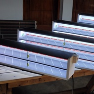 READY HOTWHEELS DIORAMA PARKING RACK