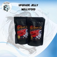 Upgrade Jelly Food for Molly Fish Original Thai Ornamental Fish/ [PS FSIH]
