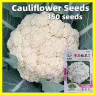 Cauliflower Seeds 45 Days - 350 Seeds White Kuliplor Cauliflower Seeds for Planting Vegetables High 