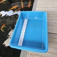 Koi fish measuring tank 50 cm