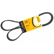 BMW สายพาน 6PK1538 รุ่น E46 E39 E60 E38 E65 เครื่อง M52 M54 M57 เบอร์ 11 28 7 636 379 ยี่ห้อ Contine