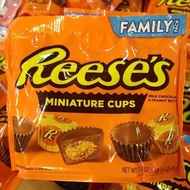 Reeses Miniature Cups Peanut Butter USA Reese Share Pack Reese Family