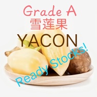 Organic (1kgGrade A  ) UBI Yacon  Produce Cameron Highlands