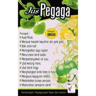 Jus Pegaga Epal Hijau Lemon /kencing Manis/ darah tinggi/obesiti +🎁FREE GIFT