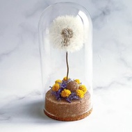 蒲公英玻璃盅 花盅 乾燥花玻璃罩 畢業花禮