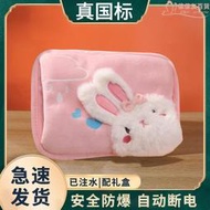 熱水袋國標充電式暖寶寶兔毛絨可愛注水電熱水袋可拆洗防爆