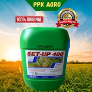 SET-UP 480 20L GLYPHOSATE 41% RACUN RUMPAI /RACUN RUMPUT LALANG/RACUN RUMPAI SERUPA ROUNDUP/HERBICID