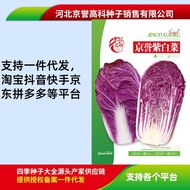 Seeds Chinese Cabbage Seeds Chinese Cabbage Purple Cabbage Seeds Family Courtyard Featured Vegetable