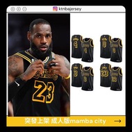 Lebron James Anthony Davis Kyle Kuzma Alex Caruso Los Angeles Lakers 17-18 City Edition Mamba Classi