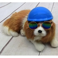 Dog Helmet