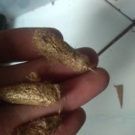 {BISA BAYAR DI TEMPAT} Koleksi Antik Wesi Kuning Asli Kuningan model pompong