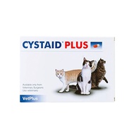 Cystaid Plus Exp.1/12/2025 Thai Label Cistate Protein Supplement cat Gallstone Urinate Pee In Blood