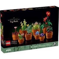 （已砌） LEGO Icons 10329 Tiny Plants 盆栽植物