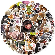 50 Waterproof Cute Animal Meme Stickers to decorate laptops, helmets, suitcases DB.222