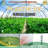 Retail Champion UV Plastic per Meter Width 6 Meters 14 Percent 170 Microns