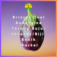 Biji Benih Terung Bujur Brinjal Oval Aubergine ( 50 Seeds ) Sayur Sayuran Vegetables Seeds