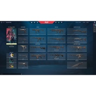 Valorant account (budget account)