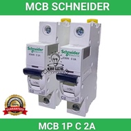 MCB 1P 2A IC60N A9F74102 SCHNEIDER ACTI9