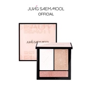 Artist Face Palette - Highlighter