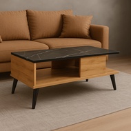 Coffee Table/  Modern Coffee Cabinet/  Coffee Meja / PK 692