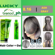 BREMOD 8.16  Ash Gray Hair color Set with Oxidizing Cream(100ML)