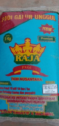 Bibit Padi Unggul Tri Sultan Biji Padi Trisultan 5kg