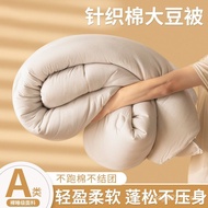Core Quilt Thickened Winter Spring Autumn Protection Quilt Quilt Quilt Autumn Winter Student Dormito