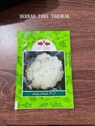 Benih Bunga Kol Aquina F1 10 gram cap panah merah bibit sayur kembang hijau putih hidroponik biji